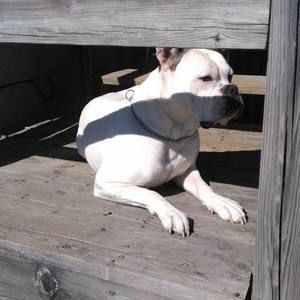 Meet your Posher, Jim